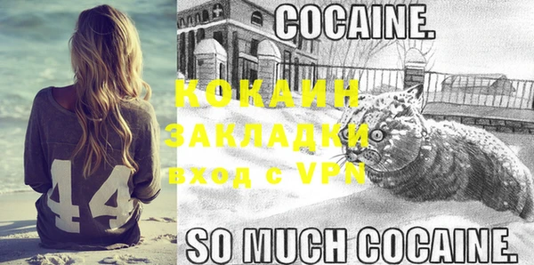 сатива Покачи