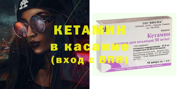 сатива Покачи
