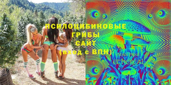 сатива Покачи