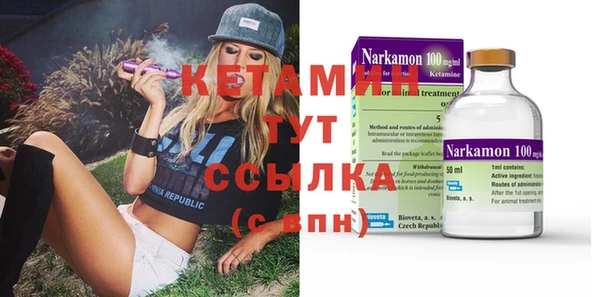 сатива Покачи