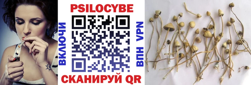 Галлюциногенные грибы GOLDEN TEACHER  Ивантеевка 